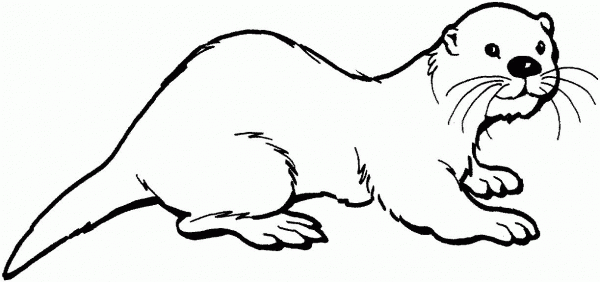 Otter coloring page image