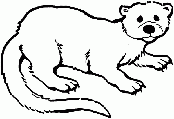Otter coloring page image