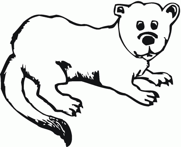Otter coloring page image