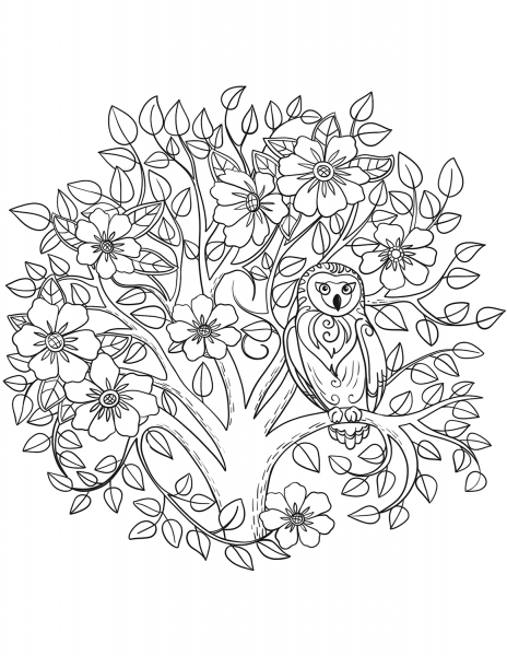 Owl and Blooming Tree coloring page image