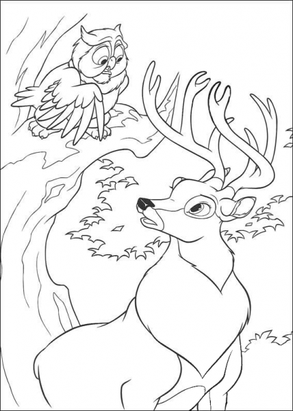 Owl And Roe  coloring page image