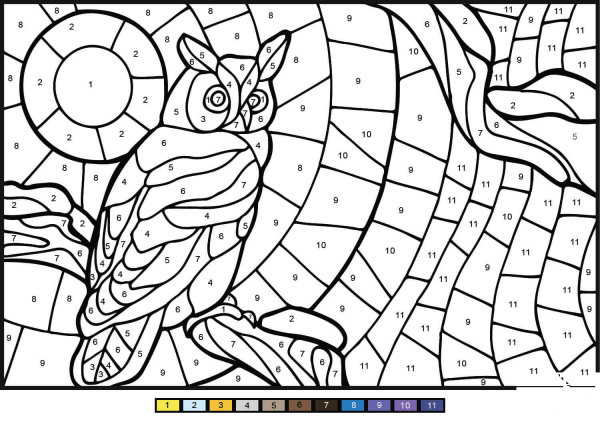 Owl Color by Number image