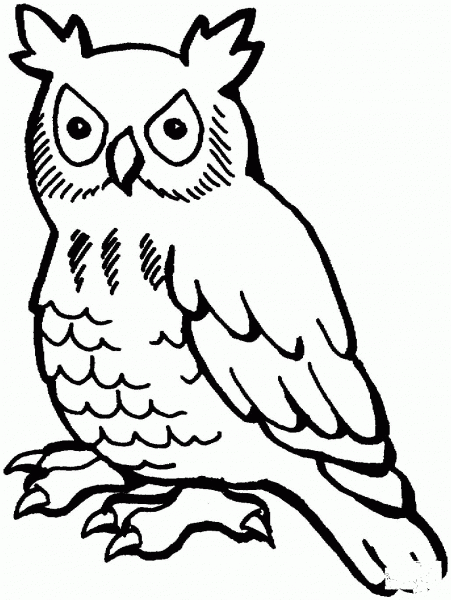Owl coloring page image