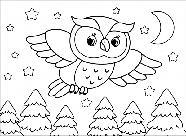 Owl coloring page image