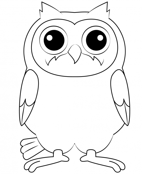Owl coloring page image