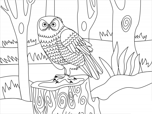 Owl coloring page image