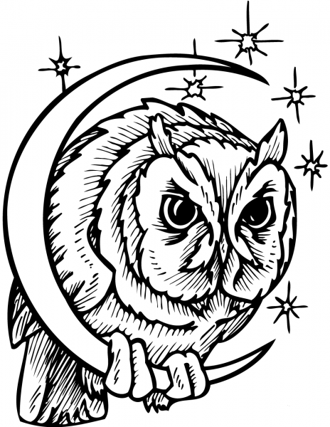 Owl in Crescent Moon coloring page image