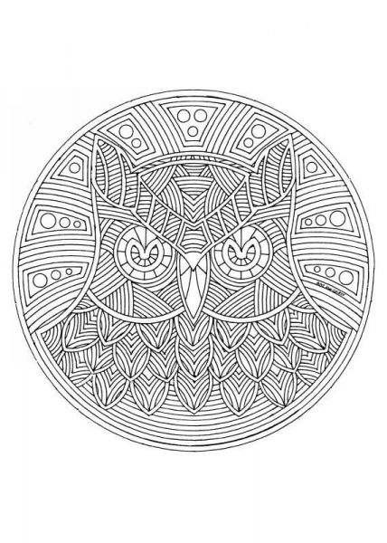 Owl Mandala coloring page image