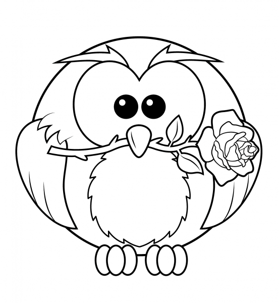 Owl with Rose coloring page image