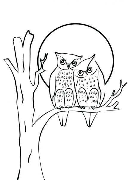 Owls Couple in Love coloring page image