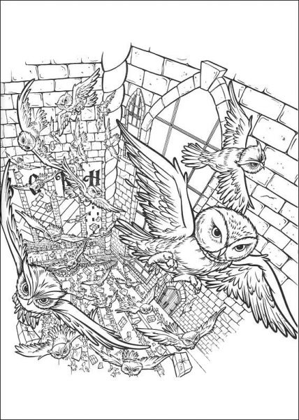 Owls In The Castle  coloring page image
