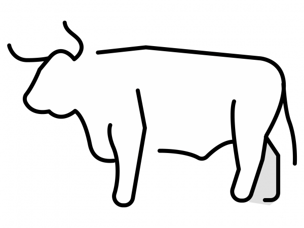 Ox Emoji coloring page image