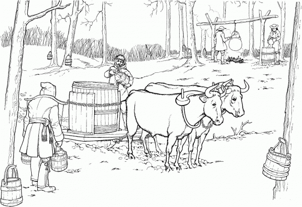 Oxen Pulling Sled with Maple Syrup Barrel coloring page image
