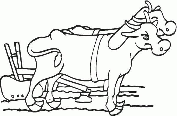 Oxen with Plow coloring page image