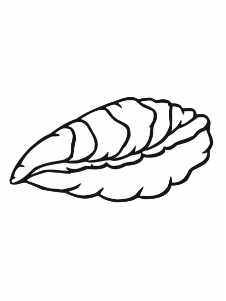 Oyster coloring page image