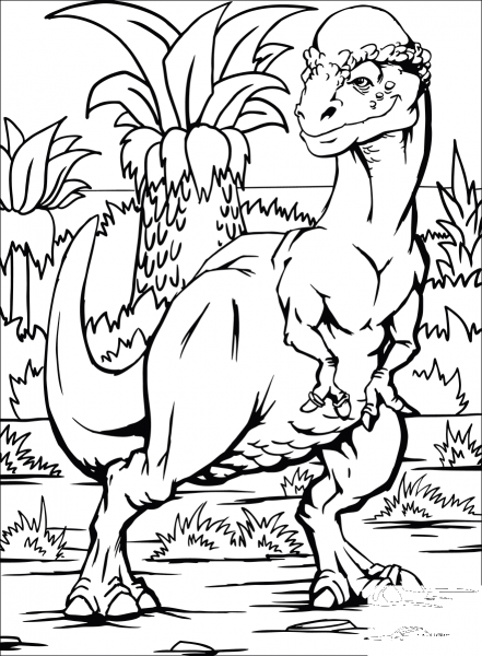 Pachycephalosaurus coloring page image