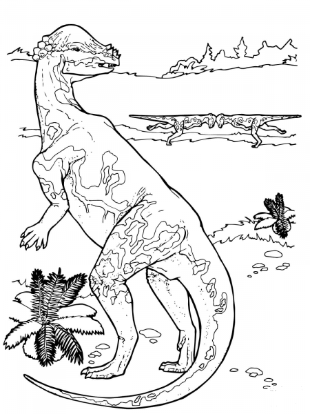 Pachycephalosaurus Cretaceous Period Dinosaur coloring page image