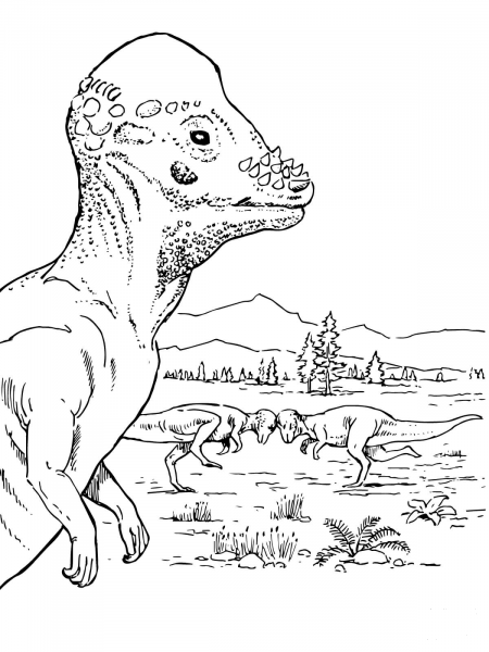 Pachycephalosaurus Dinosaur coloring page image