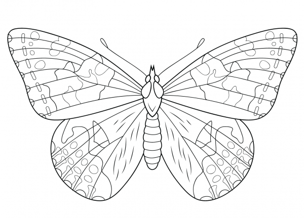 Painted Lady Butterfly coloring page image