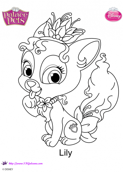 Palace Pets Lily coloring page image