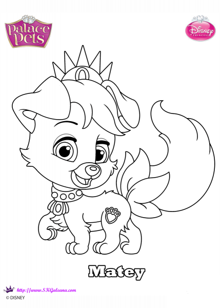 Palace Pets Matey coloring page image