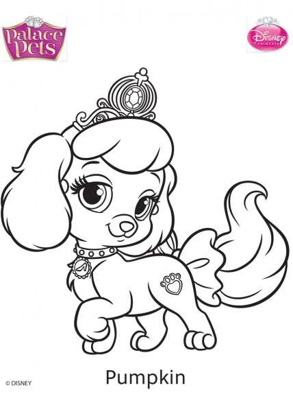Palace Pets Pumpkin coloring page image