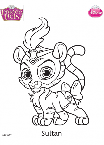 Palace Pets Sultan coloring page image