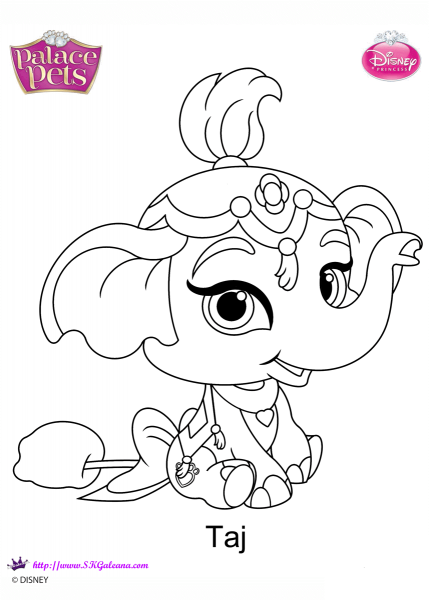 Palace Pets Taj coloring page image