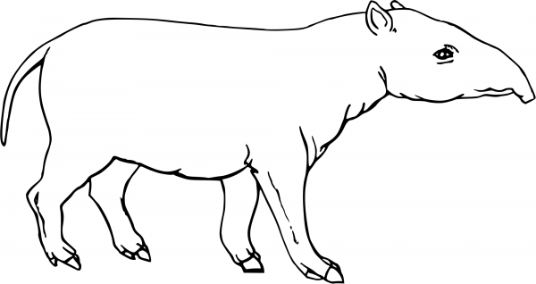 Palaeotherium Magnum coloring page image