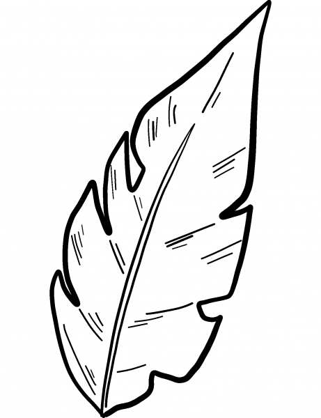 Palm Leaf coloring page image