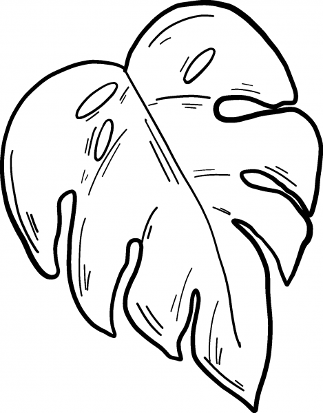 Palm Leaf coloring page image