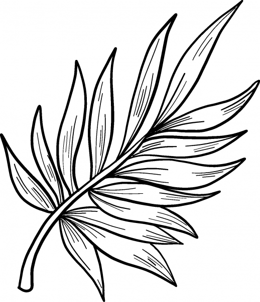Palm Leaf coloring page image