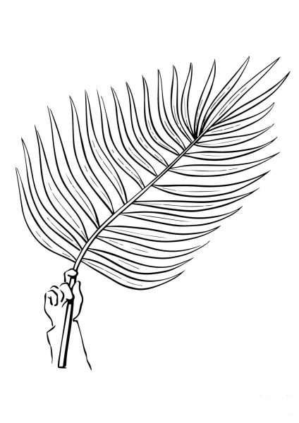 Palm Tree Branch coloring page image