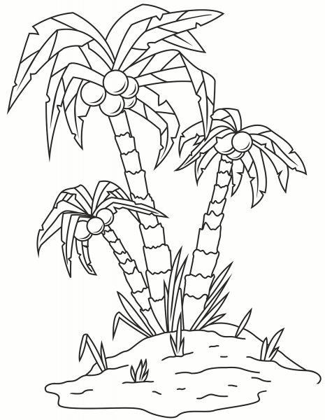 Palm Tree coloring page image