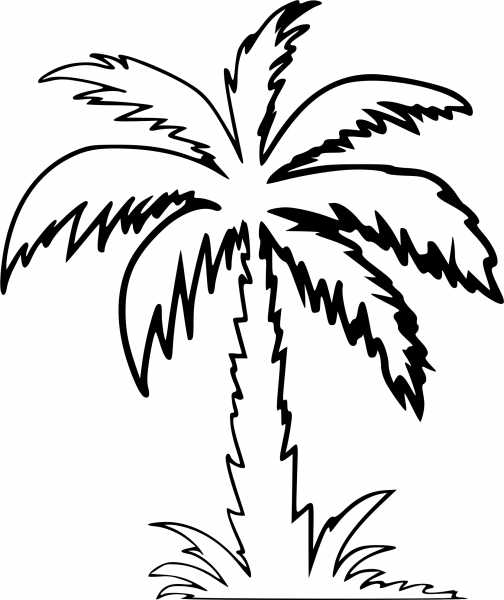 Palm Tree coloring page image