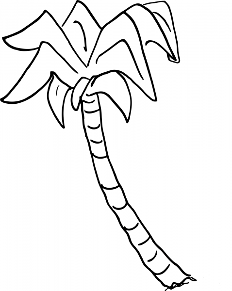 Palm Tree coloring page image