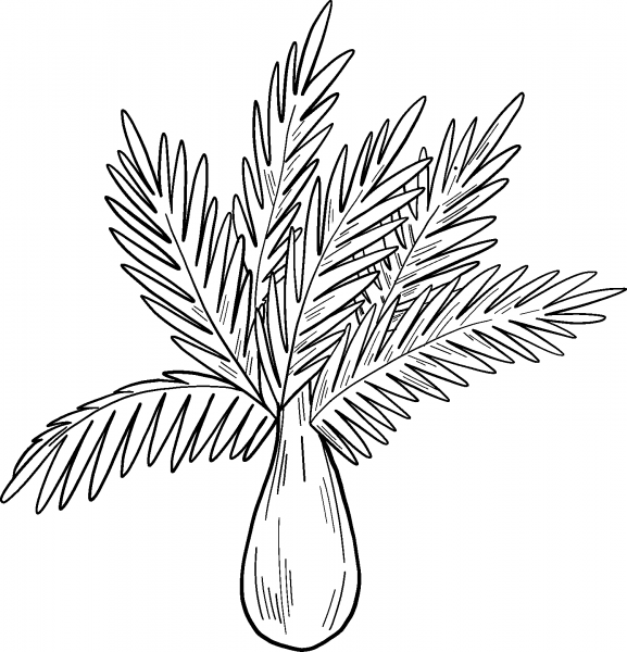 Palm Tree coloring page image