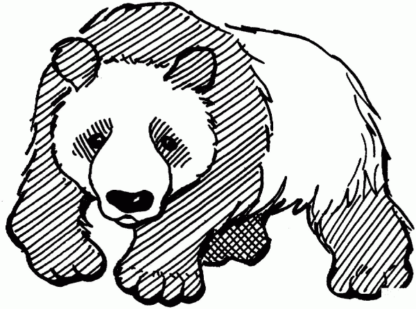 Panda coloring page image