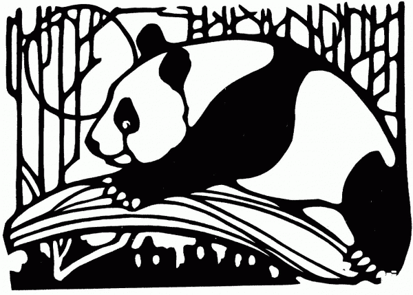 Panda In Bamboo Forest coloring page image
