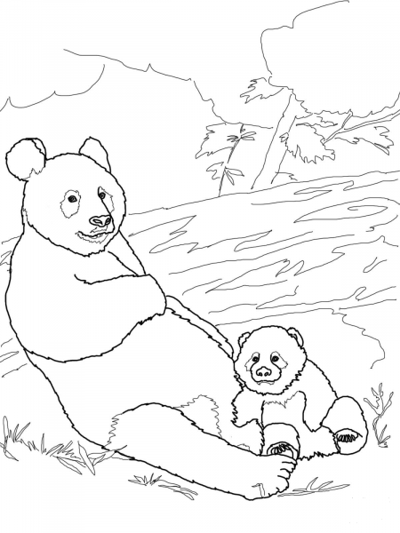 Panda Mother with Baby Panda coloring page image