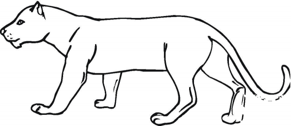 Panther  coloring page image
