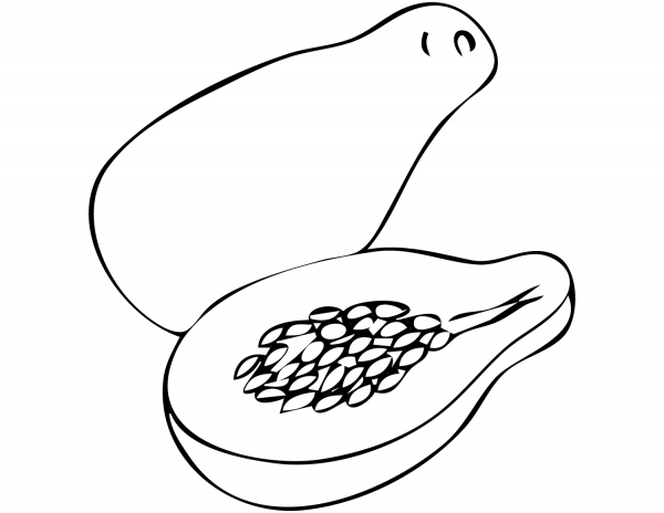 Papaya coloring page image