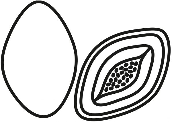 Papayas coloring page image