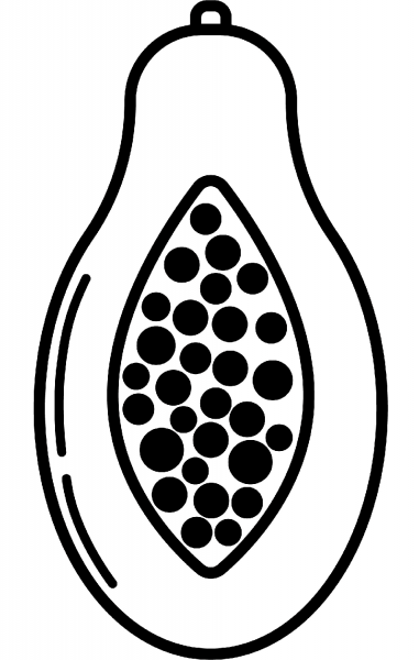 Papayas coloring page image