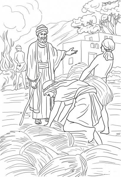Parable of the Wheat and Weeds coloring page image