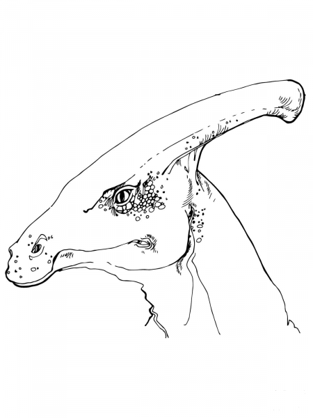 Parasaurolophus Dinosaur Head coloring page image