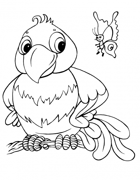 Parrot and Butterfly coloring page image