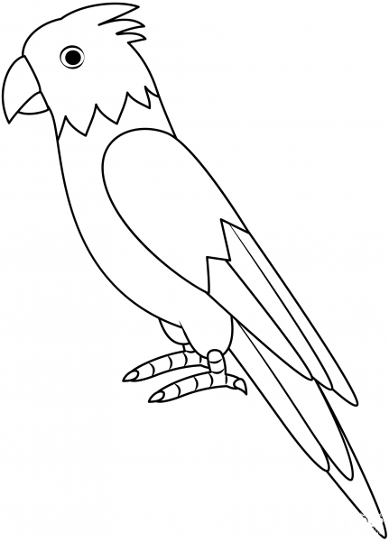 Parrot coloring page image
