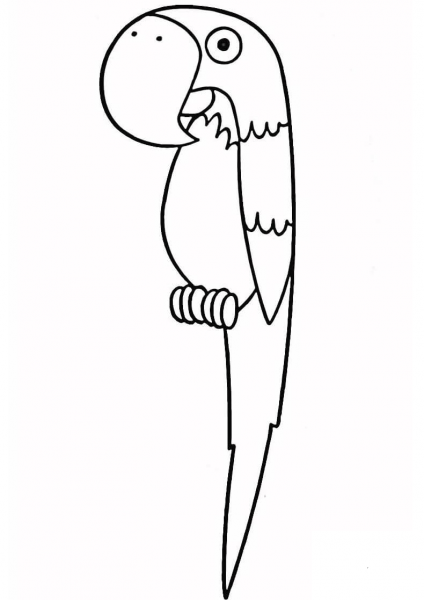 Parrot coloring page image