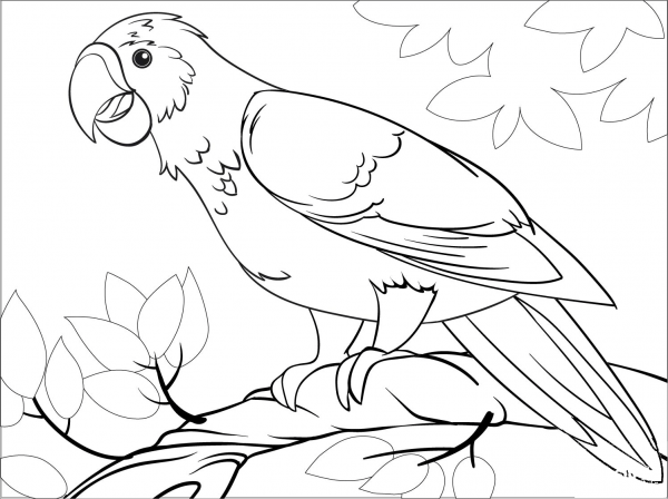 Parrot coloring page image